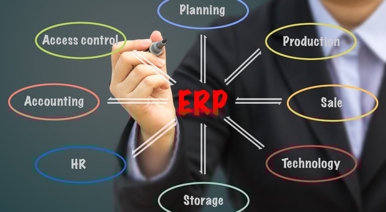 ERP Implementation, Netsuite, SAP, Oracle, Microsoft Dynamics