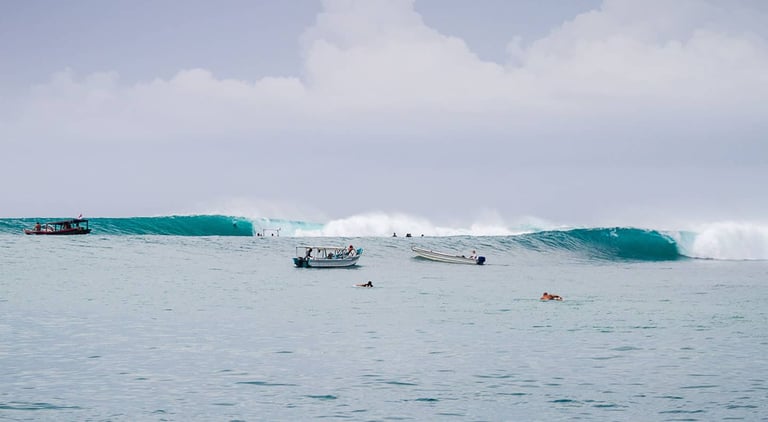 rifles mentawai wave