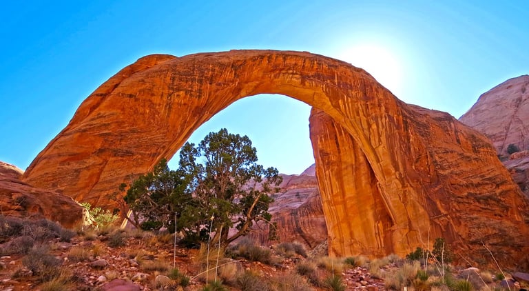 Flagstaff/Page Travel - Down Forbidding Canyon is the trail to Rainbow Bridge Monument