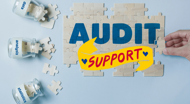 Statutory Audit, Internal Audit, Tax Audit, Audit Support