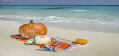 family-friendly-halloween-events-anna-maria-island