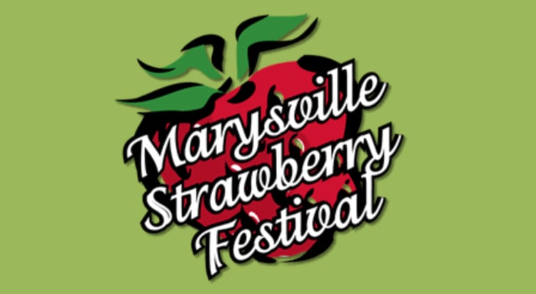 Strawberry Festival Photo