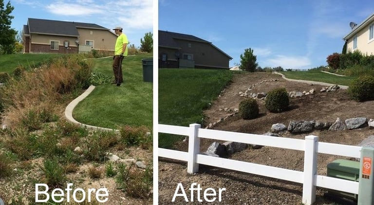 weed removal company