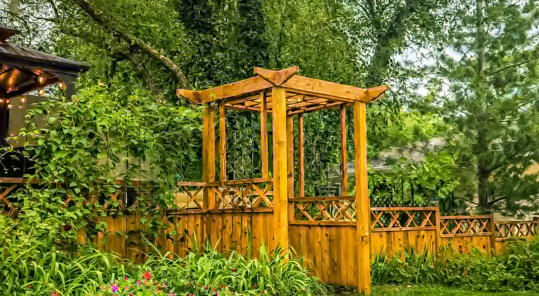 A wooden garden pergola and fence surround a lush backyard with green plants and purple flowers.