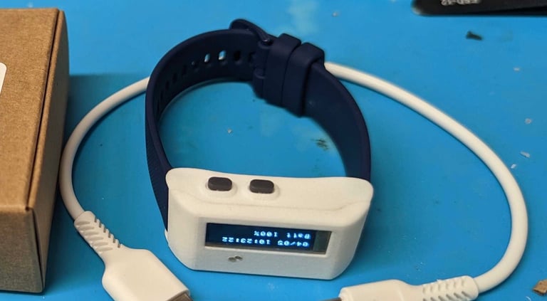 electronicbracelet