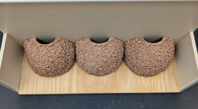 triple-house-martin-nest-cup-with-upvc-false-eaves--by-nest-cup-box