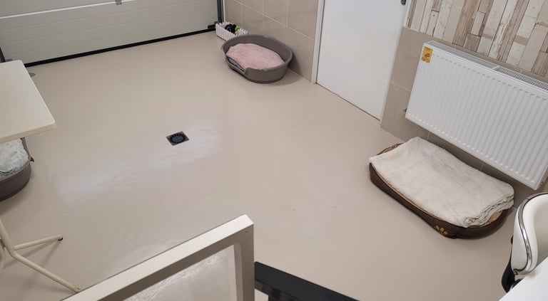 Elevage de Schnauzer nain noir