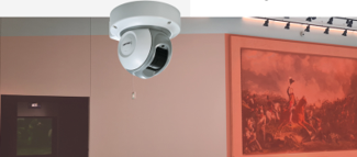 SISTEMAS DE INTRUSIÓN PARA LA PROTECCIÓN DE OBRAS DE ARTE, INTEGRADOS CON CCTV
