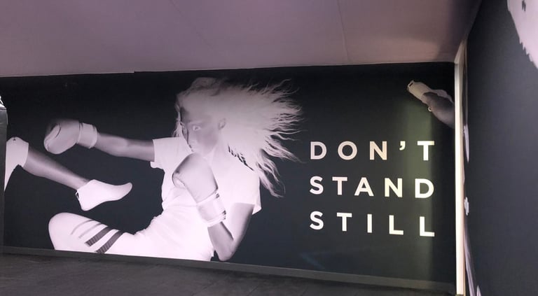 Vienos dalies interjero sienų grafika DECOSONA – unikalūs sienų raštai ir iliustracijos