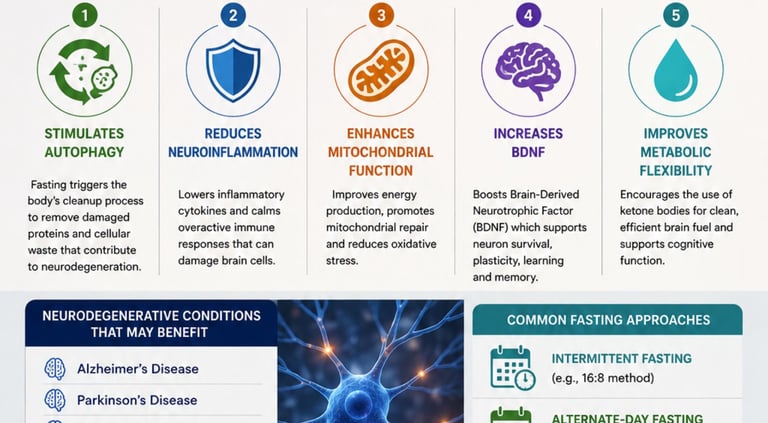 🌙Neuroprotective Fasting in Neurodegenerative Conditions🧠