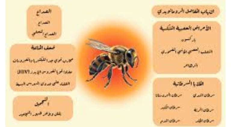 العلاج بالنحل فوائد سم النحل واستخداماته العلاجية
