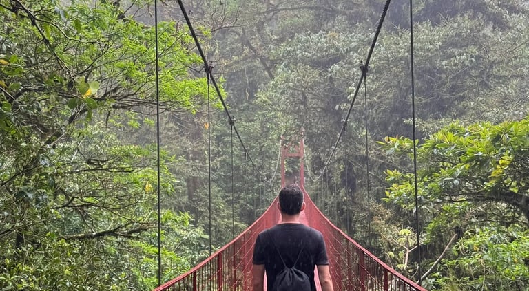 Monteverde Cloud Forest