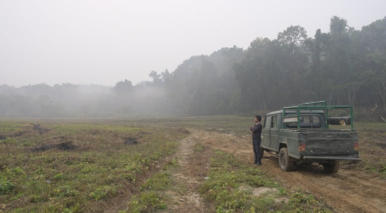 on the way to the village where the second fawn was found