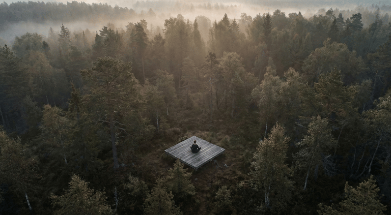 guest in meditation pose on a wooden platform surrounded by forest at dawn