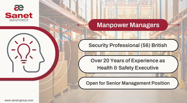 Security Professional