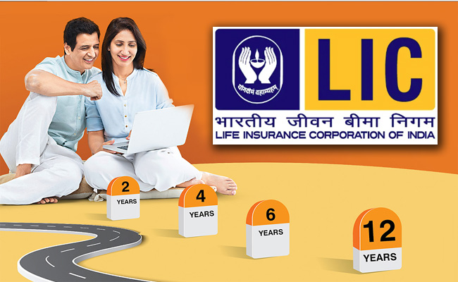 LIC fast growth Insurance