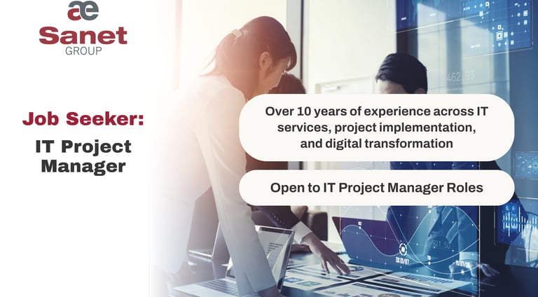 IT Project Manager