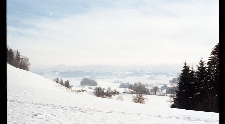 Ein schneebedecktes Tal mit Kiefern unter einem strahlend-dunstigen Himmel.