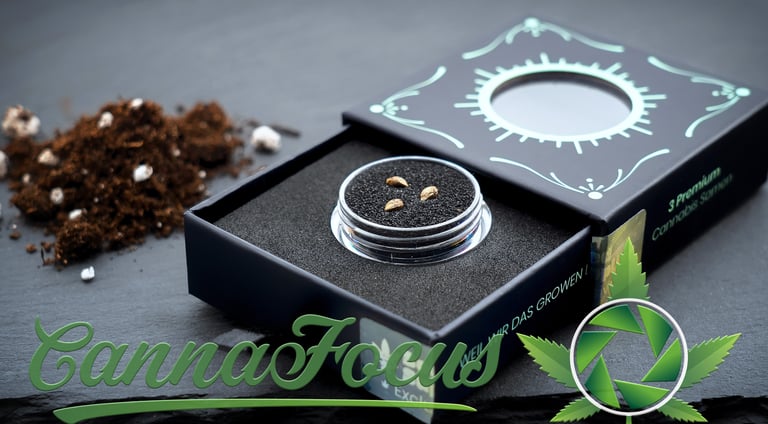 Von der Verpackung in die Erde: Diese Aufnahme der 'Seed Supplier' Samen zelebriert den Moment vor dem ersten Einpflanzen