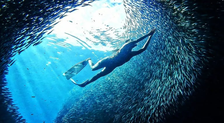 a person swimming in a school of fish turning into a tunnel
