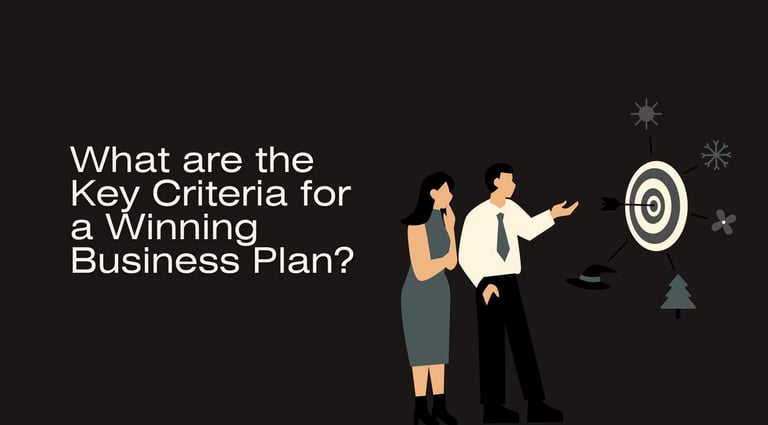 What are the Key Criteria for a Winning Business Plan | ToAsia.biz