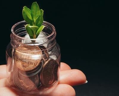 Una pequeña planta verde creciendo en un frasco de vidrio lleno de monedas
