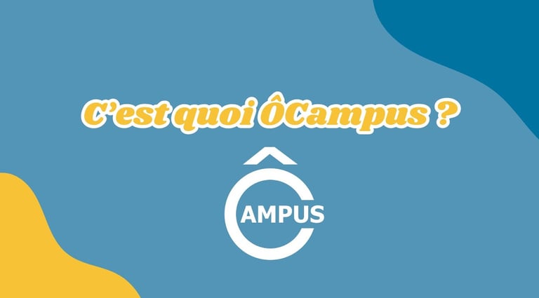 videatse photographe orleans