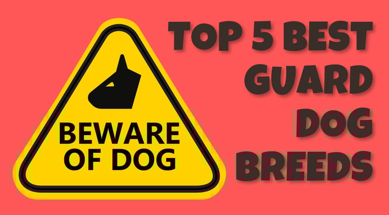 top 5 best guard dog breeds