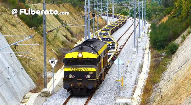 Medway 1907 plataformas Sgnss RENFE Mercancías