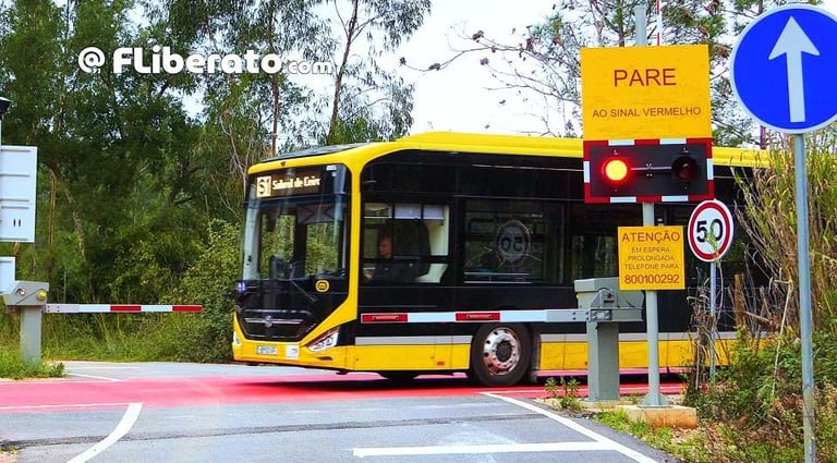 Meias barreiras Metrobus Mondego SMM