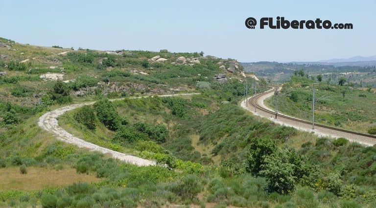 Modernização Beira Alta anos 90