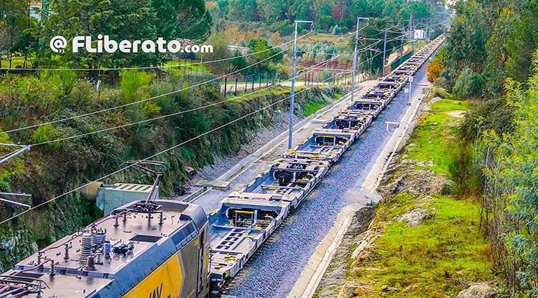 vagões Sdggmrss semi-reboques  Tatravagonka RENFE Mercancías
