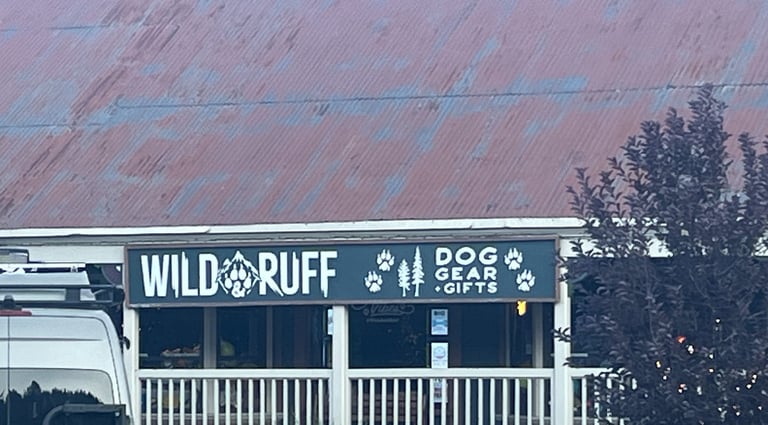 dog friendly travel northstar lake tahoe