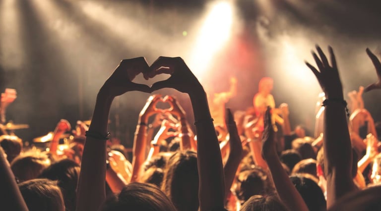 Fans at a music concert