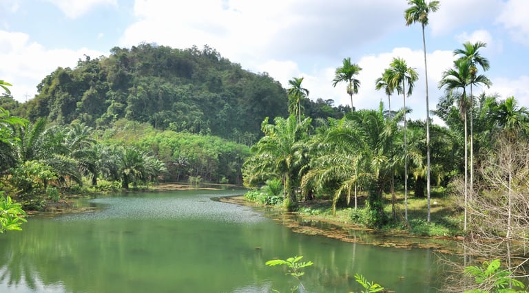 Sawi, Chumphon