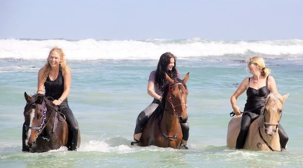 Pearly Beach Horse Trails Activities at White Shark Guest House in Gansbaai