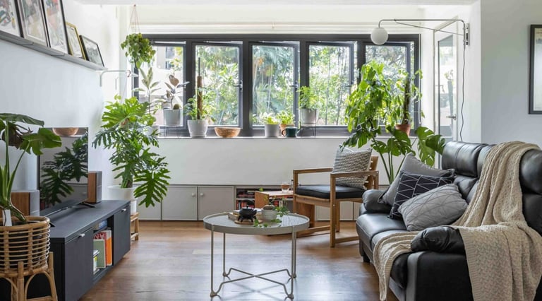 Living and lounge area of Skip Stop House filled with day light and lush indoor plants