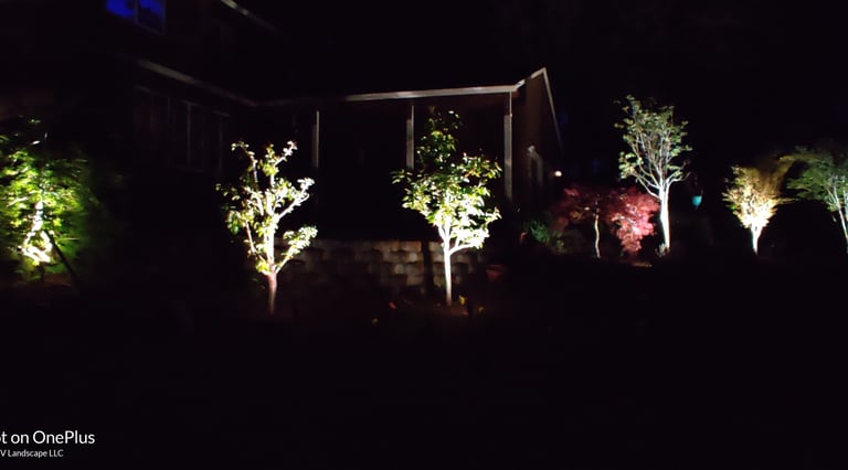 LED Landscape Lighting Services in Portland, Lake Oswego