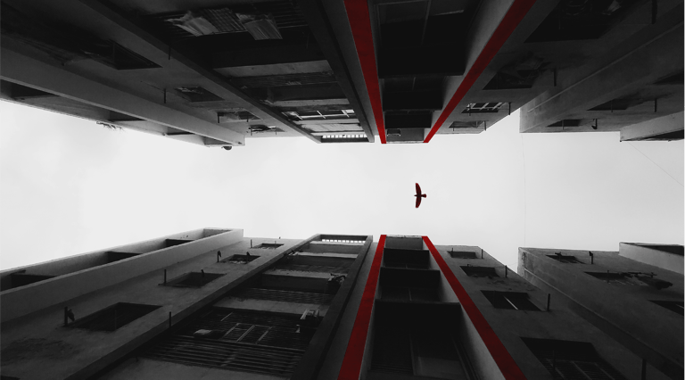 a bird flying over a building