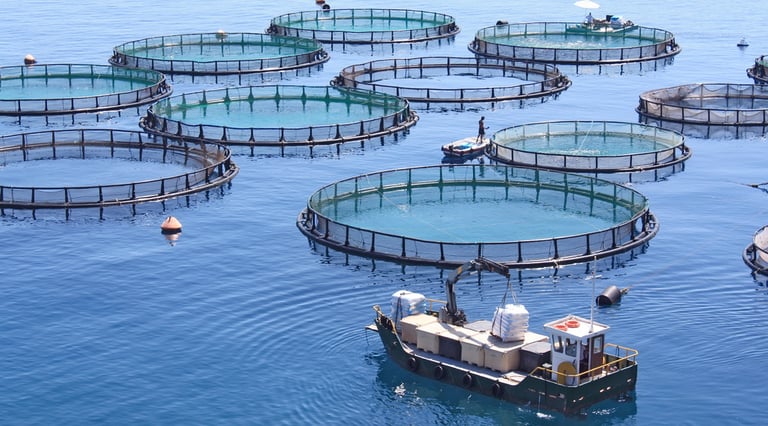 sustainable crab farming