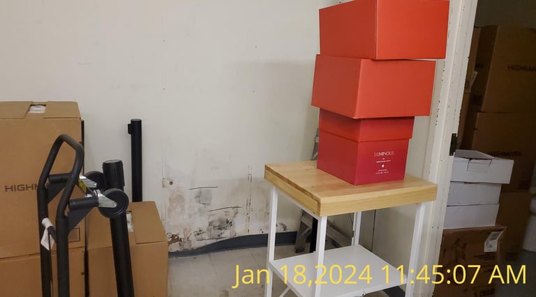 Mold growth on wall