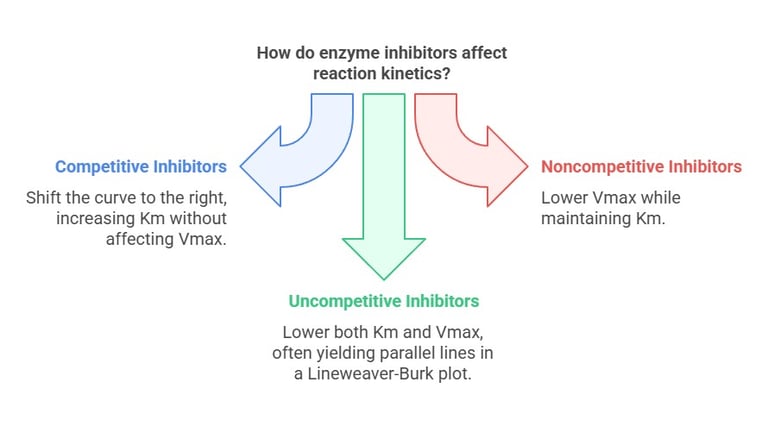 types of inhibitions