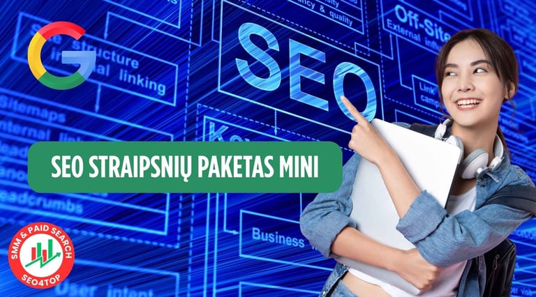 SEO straipsnių paketas MINI