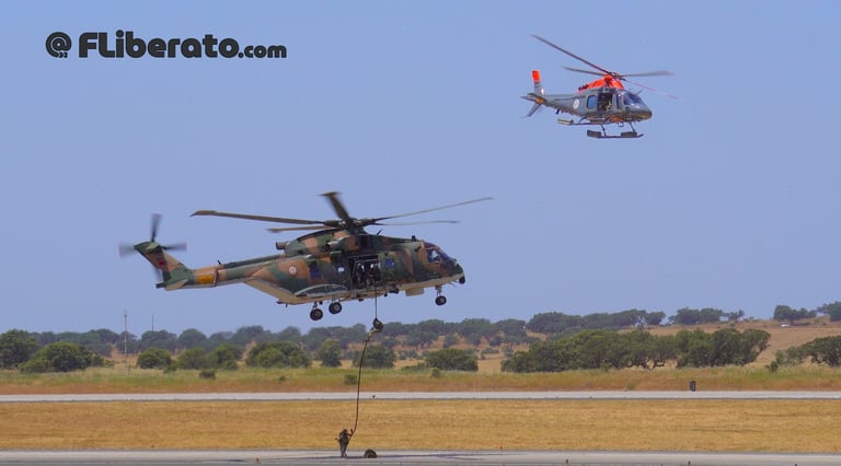 Aeronaves EH-101 Merlin, AW119 Koala