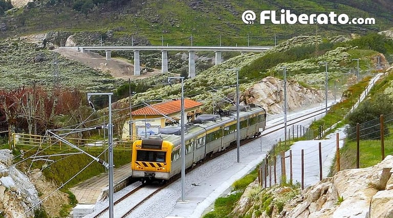 Reabertura da linha da Beira Alta Celorico Mangualde
