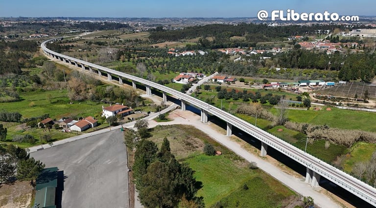 Concordância da Mealhada março 2025