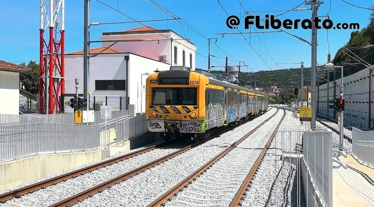 Testes linha da Beira Alta