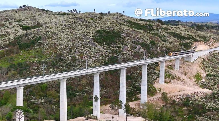 Reabertura da linha da Beira Alta Celorico Mangualde