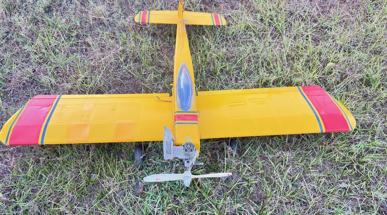 Yellow & Red Low Wing