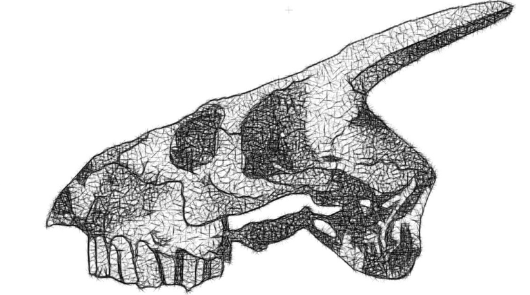 a skullet with a skull head and a skull head